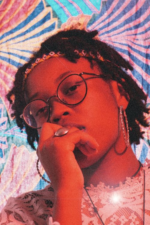 Ice cream Lady Donli