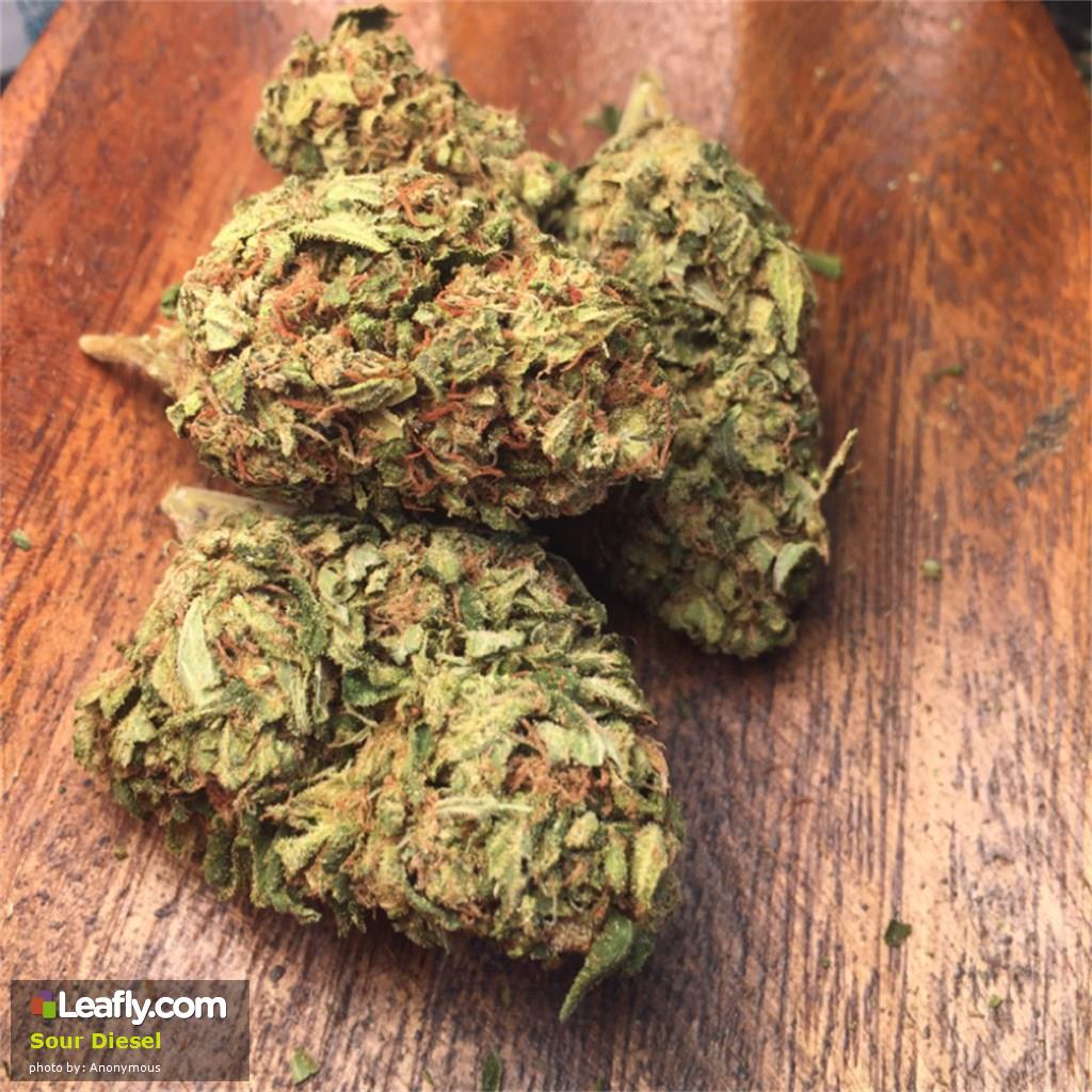 9 Strains of weed in Lagos to get you on Cloud 9 MoreBranches