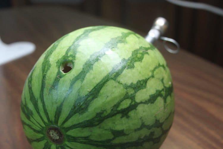 fruits you can smoke with