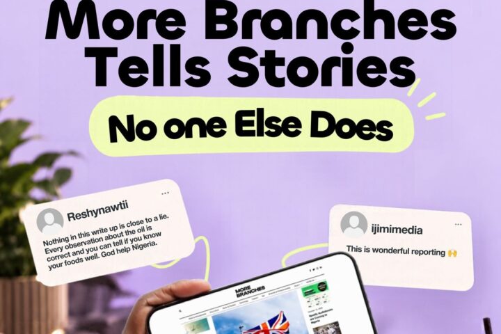MoreBranches audience survey graphic: "More Branches Tells Stories No one Else Does" with reader comments and the MoreBranches site on a phone